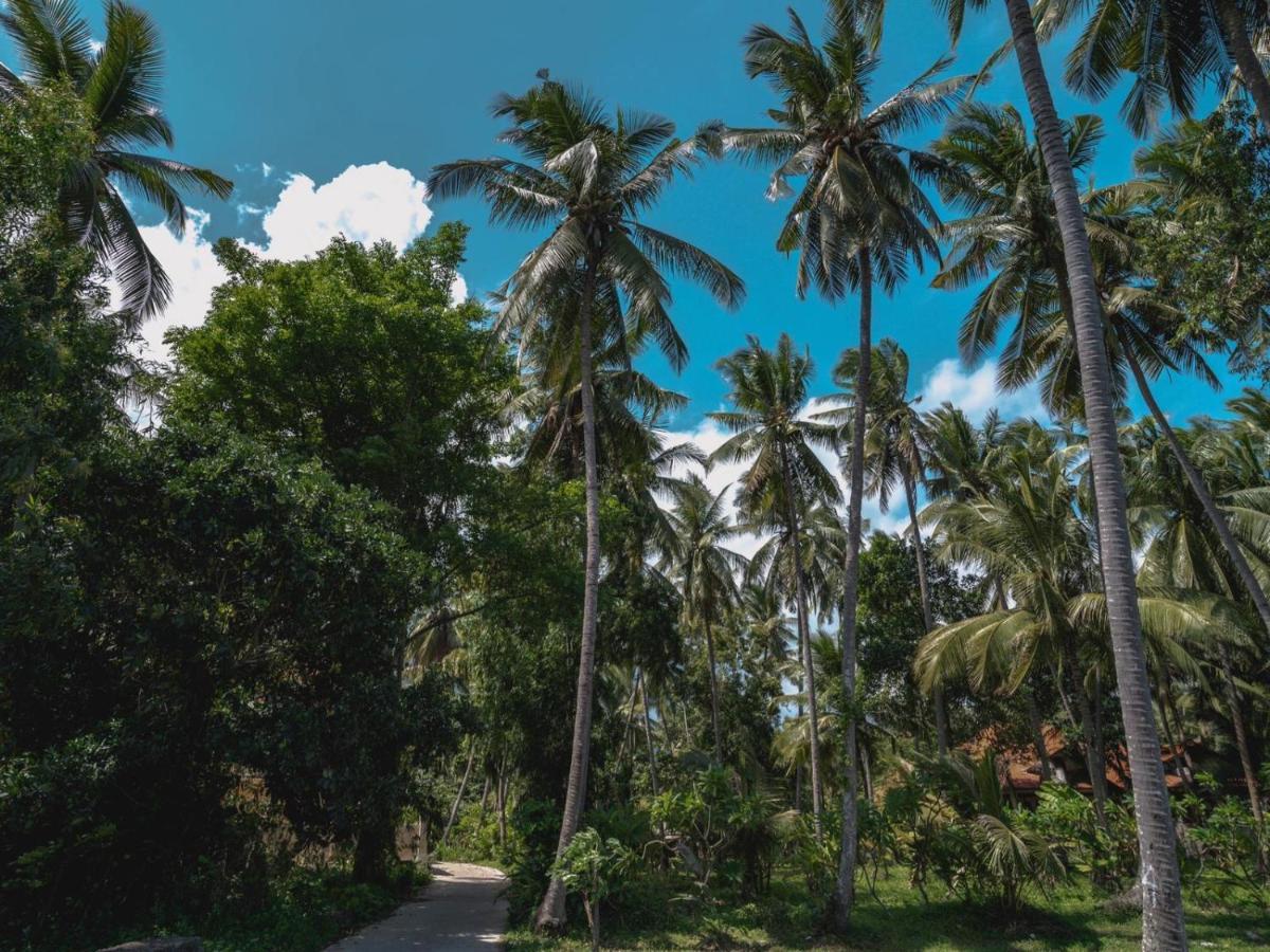 Bahari Villa Tejakula Buitenkant foto